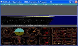 DOS Microsoft Flight Simulator 4.0