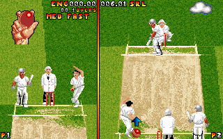 DOS Ian Botham's Cricket