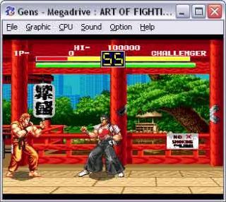 Sega Genesis Art of Fighting