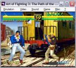 Art of Fighting 2: The Path of the Warrior